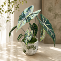 A No-Water Handmade Greenery - Evergreen Beads Plant DIY Kit