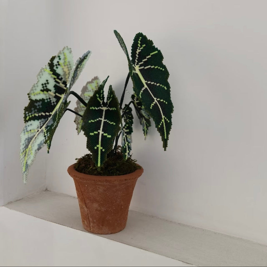A No-Water Handmade Greenery - Evergreen Beads Plant DIY Kit